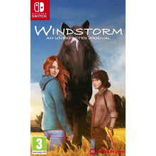 Windstorm An Unexpected Arrival Switch - Usato
