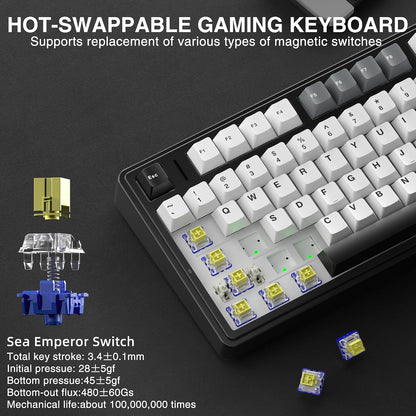 Tastiera Aula Gaming Magnetica F75 HE Black + Grey RGB