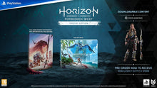 Horizon Forbidden West Special Edition PS4 - Usato