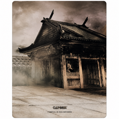 Street Fighter 5 Steelbook PS4 - Usato