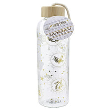 Borraccia in Vetro Harry Potter Hogwarts 590 ml